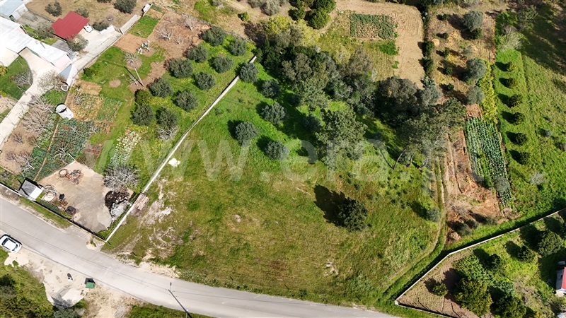 Terreno  Soure, Gesteira e Brunhós - 1390615 - 4