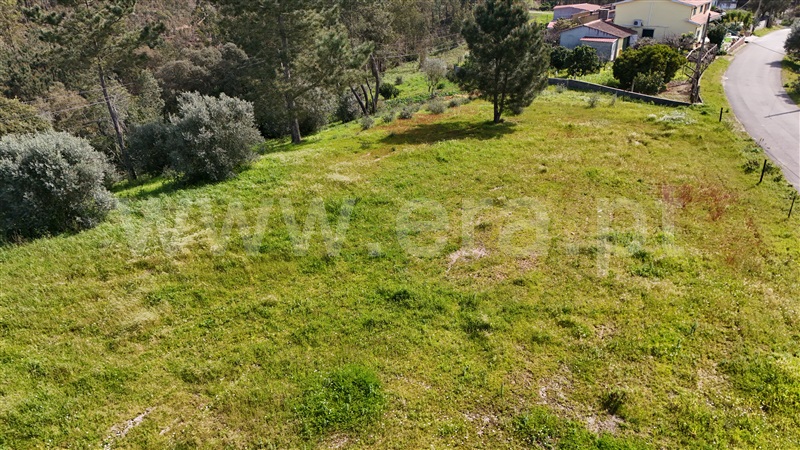 Terreno  Soure, Gesteira e Brunhós - 1390615 - 7