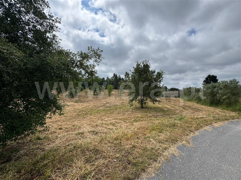 Terreno para Construção / Soure, SOURE
