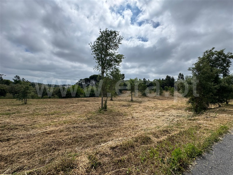 Terreno para Construção  Soure, SOURE - 1492266 - 2