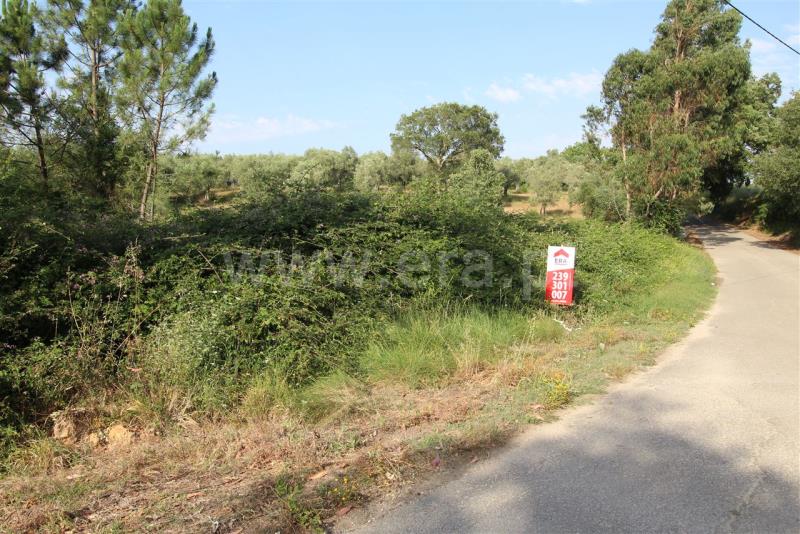 Terreno para Construção / Soure, Soure