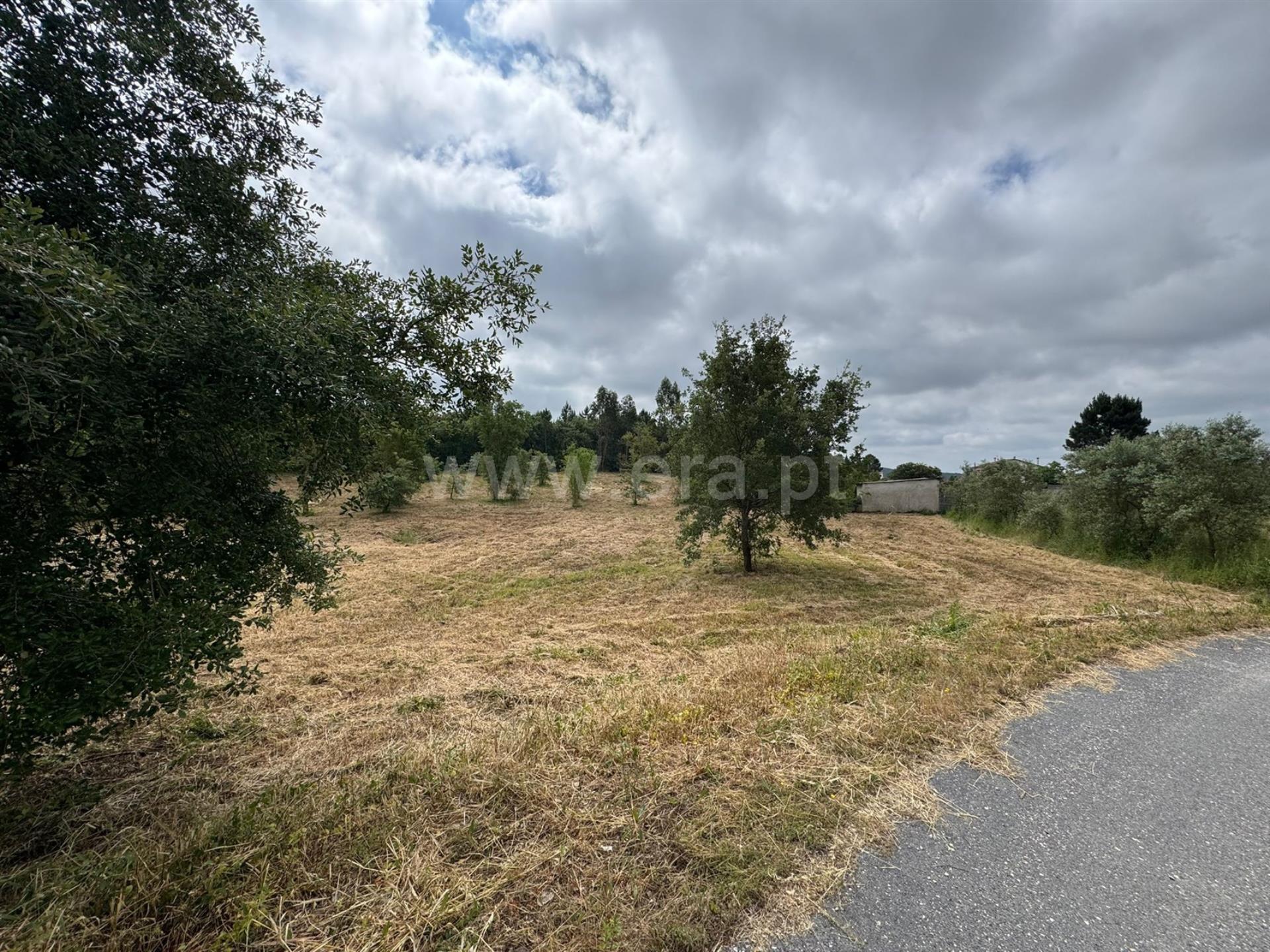 Land for sale in Soure, Portugal — €100,000