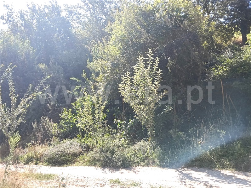 Terreno para Construção T2 Marco de Canaveses, Avessadas e Rosém - 1500271 - 7