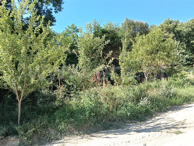 Terreno para Construção T2 Marco de Canaveses, Avessadas e Rosém - 1500271 - 11