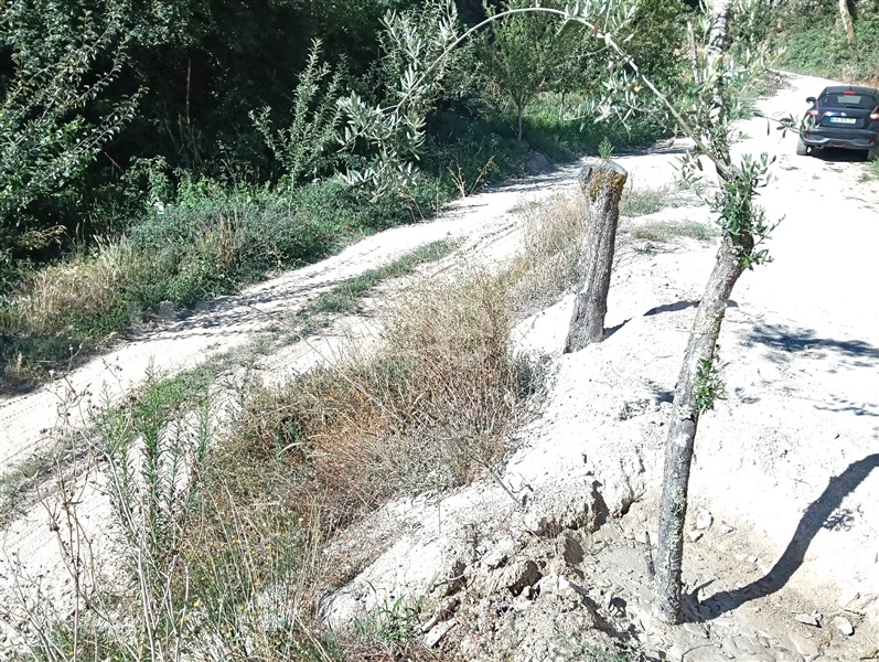 Terreno para Construção T2 Marco de Canaveses, Avessadas e Rosém - 1500271 - 16