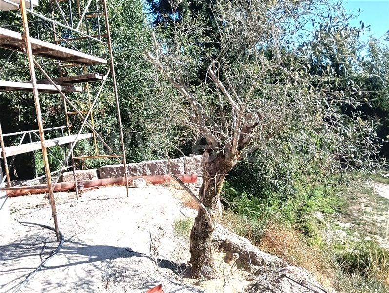 Terreno para Construção T2 Marco de Canaveses, Avessadas e Rosém - 1500271 - 17