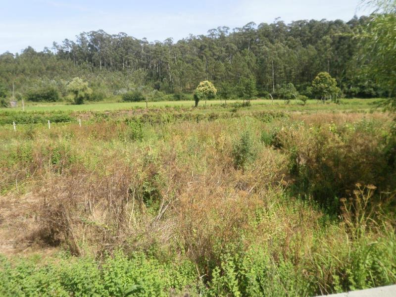 Terreno para Construção T3 Santa Maria da Feira, Souto e Mosteirô - 160375 - 28