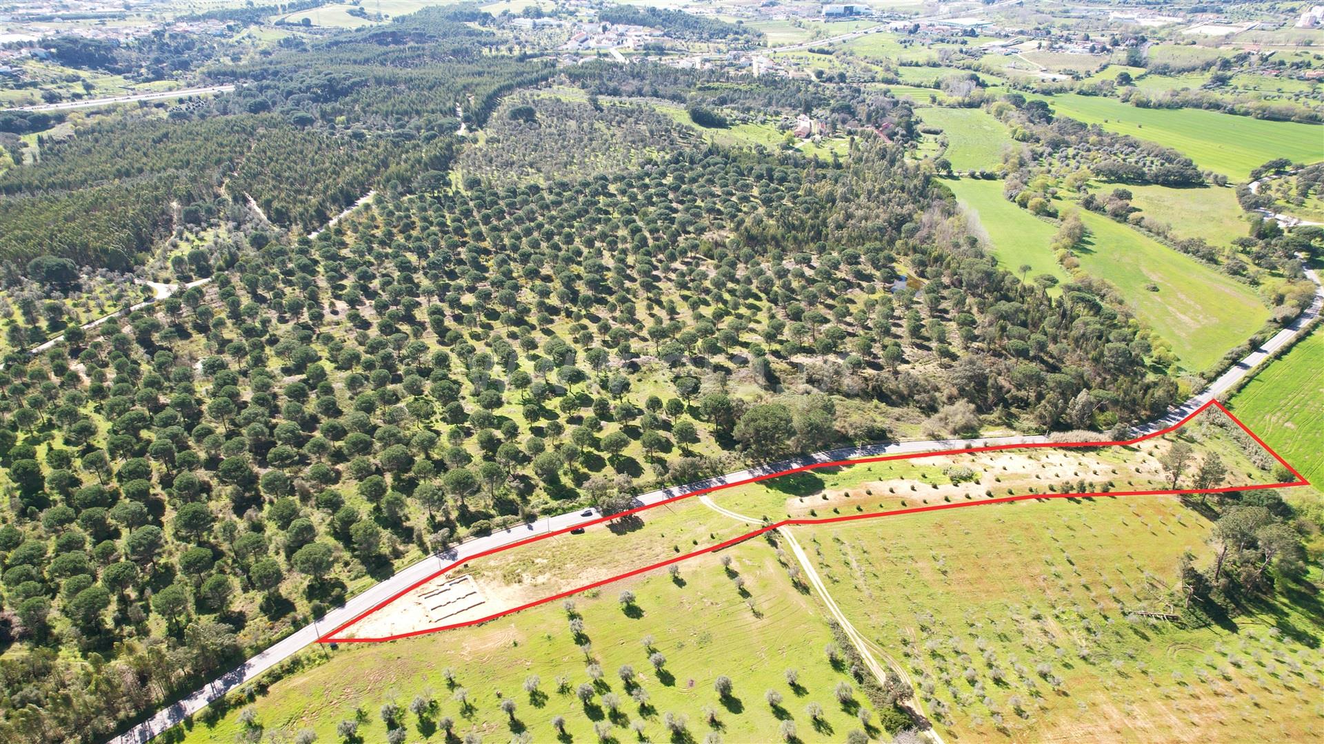 Land for sale in Torres Novas, Portugal — €63,000