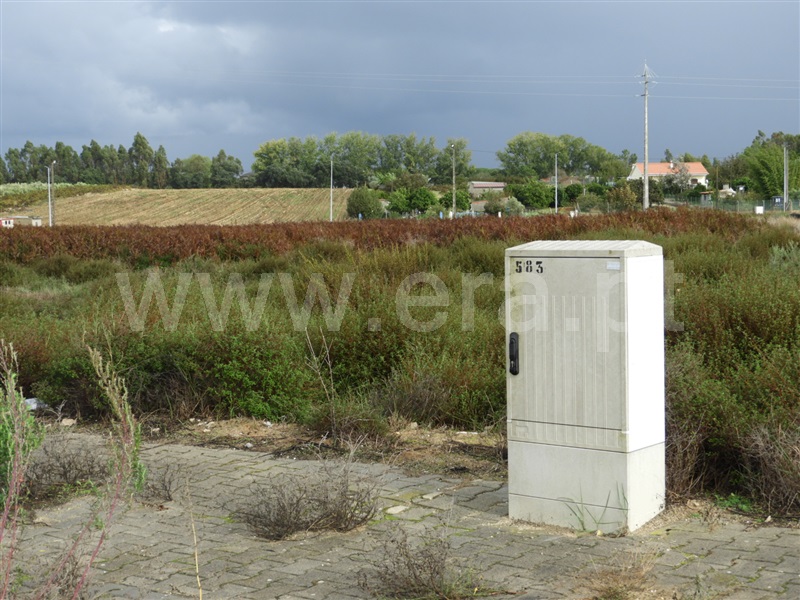 Moradia T4 Almeirim, Almeirim - 1430204 - 11