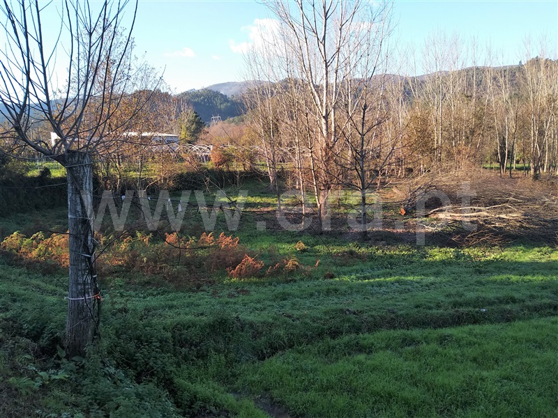Terreno para Construção  Terras de Bouro, Balança - 1065176 - 2