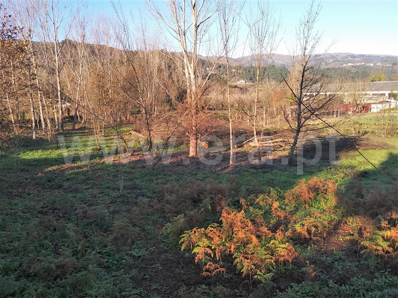Terreno para Construção  Terras de Bouro, Balança - 1065176 - 3