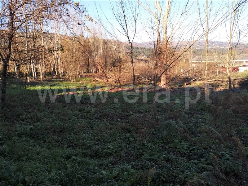 Terreno para Construção  Terras de Bouro, Balança - 1065176 - 4