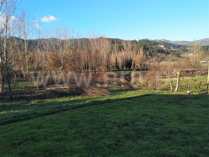 Terreno para Construção  Terras de Bouro, Balança - 1065176 - 6