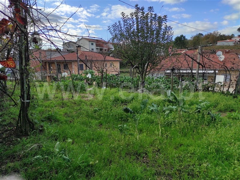 Terreno para Construção / Terras de Bouro, Chorense e Monte