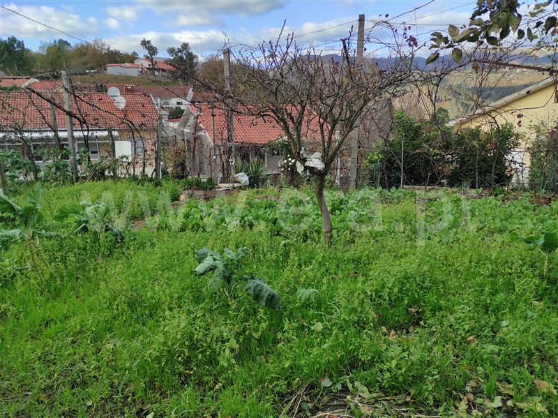 Terreno para Construção  Terras de Bouro, Chorense e Monte - 1367374 - 2