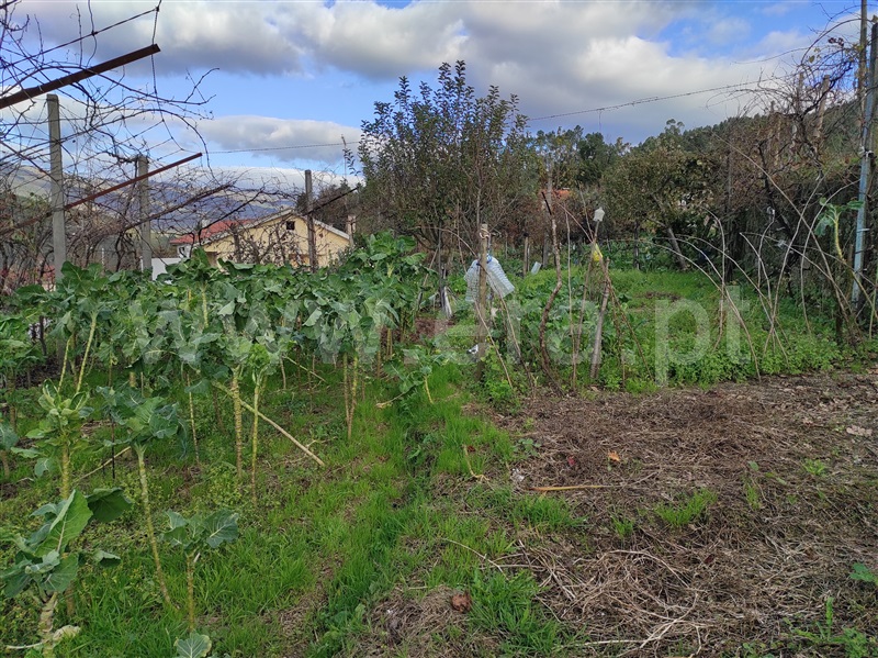 Terreno para Construção  Terras de Bouro, Chorense e Monte - 1367374 - 3
