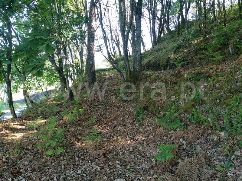 Terreno para Construção / Terras de Bouro, Moimenta