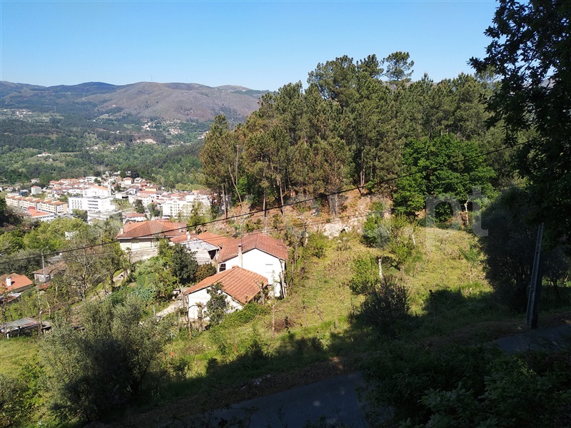 Terreno para Construção  Terras de Bouro, Moimenta - 1001814 - 5