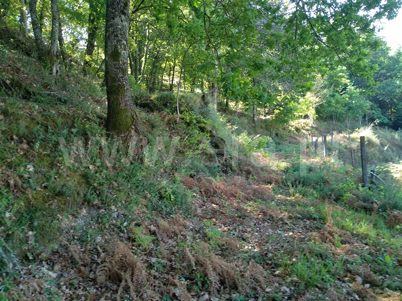 Terreno para Construção  Terras de Bouro, Moimenta - 1001814 - 6