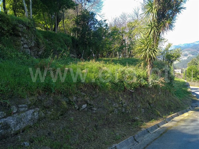 Terreno para Construção  Terras de Bouro, Moimenta - 1001814 - 7