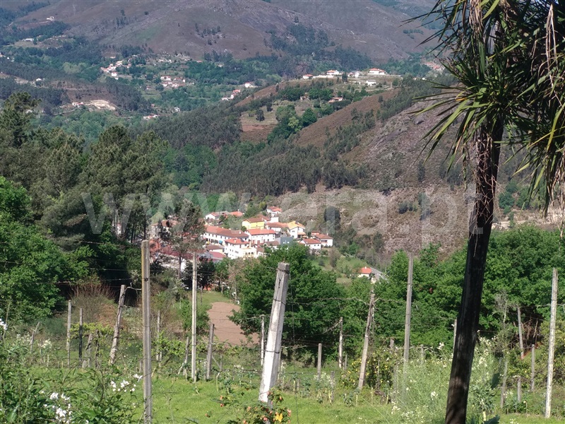 Terreno para Construção  Terras de Bouro, Moimenta - 1001814 - 9