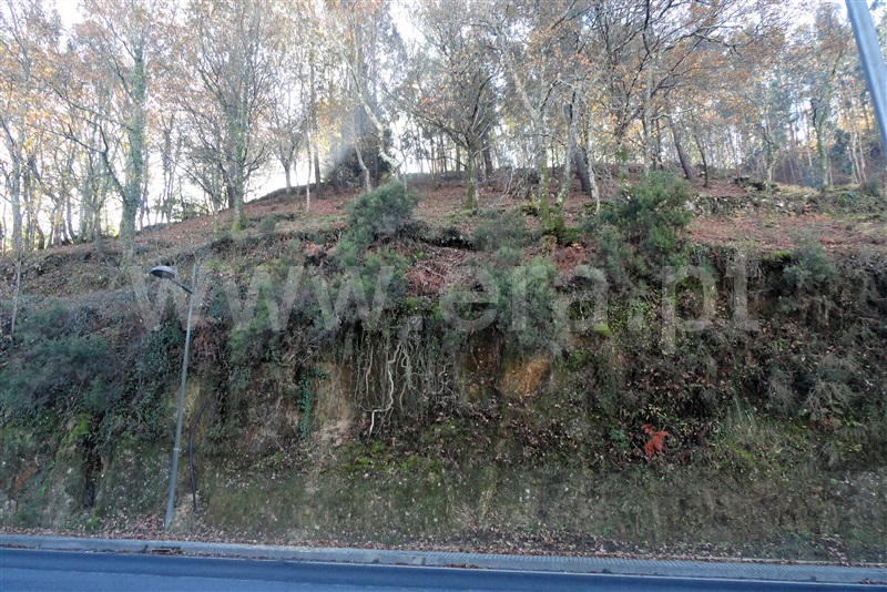 Terreno para Construção / Terras de Bouro, Moimenta