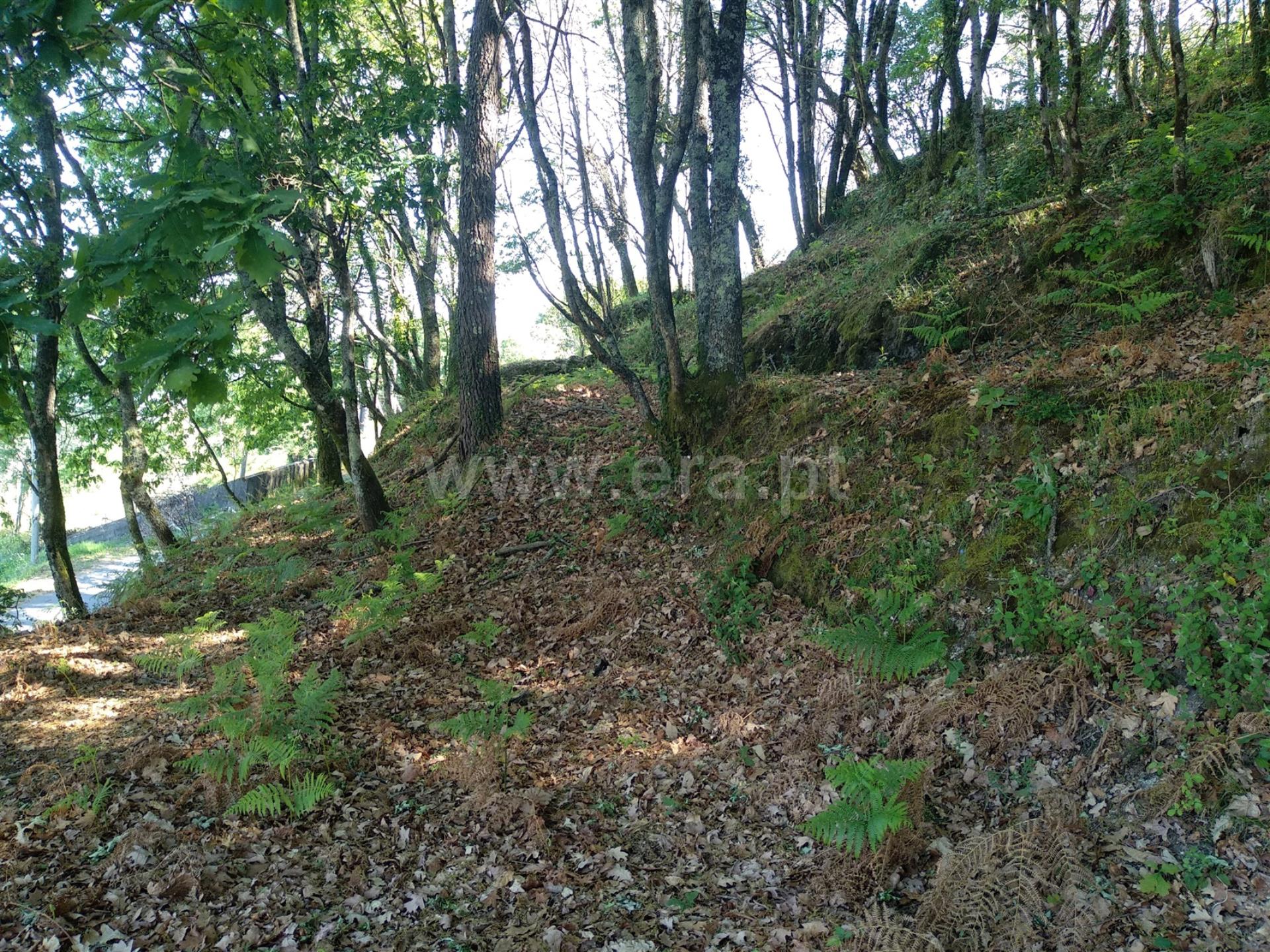 Land for sale in Terras de Bouro, Portugal — €86,000