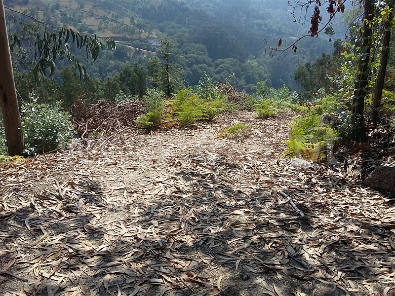 Terreno para Construção  Terras de Bouro, Valdosende - 962194 - 3