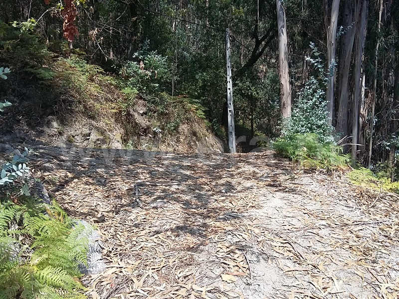 Terreno para Construção  Terras de Bouro, Valdosende - 962194 - 4