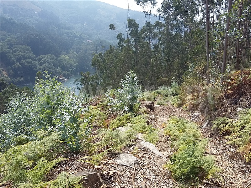 Terreno para Construção  Terras de Bouro, Valdosende - 962194 - 5