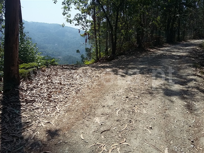 Terreno para Construção  Terras de Bouro, Valdosende - 962194 - 8