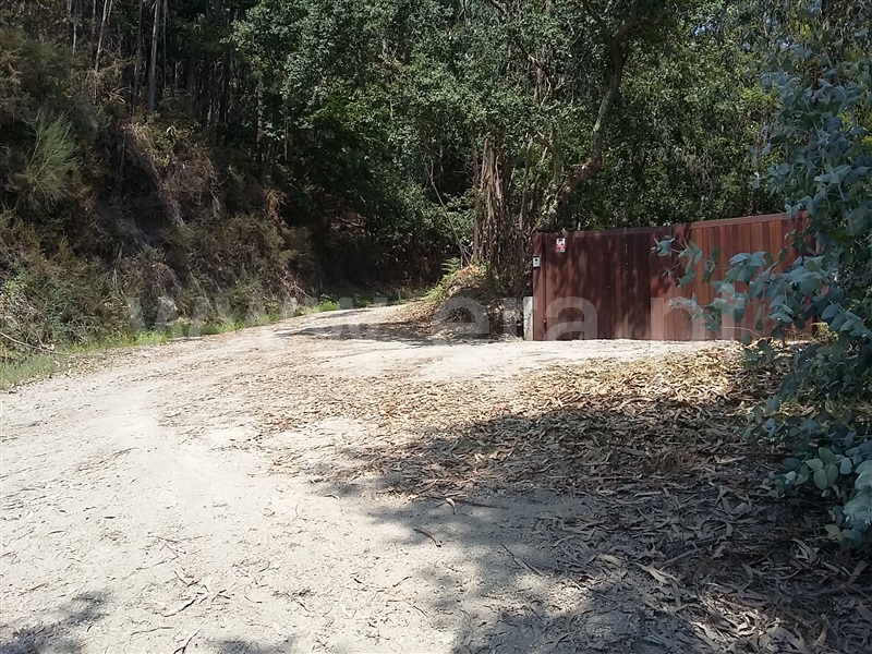 Terreno para Construção  Terras de Bouro, Valdosende - 962194 - 9
