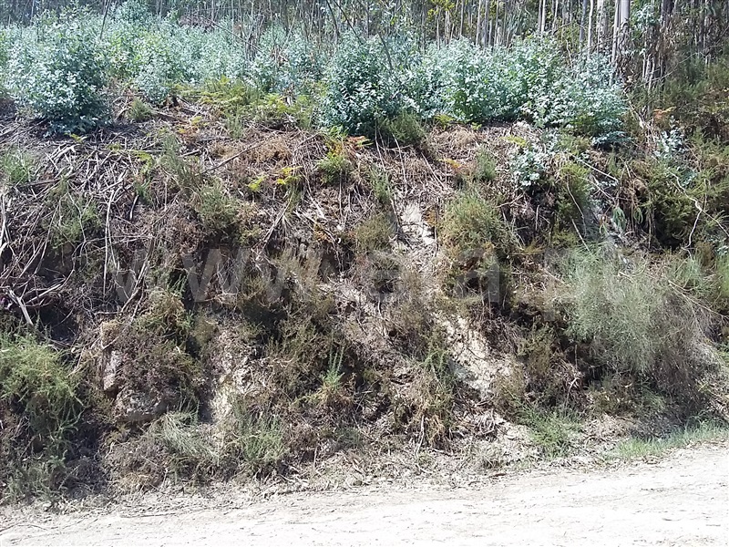 Terreno para Construção  Terras de Bouro, Valdosende - 962194 - 10