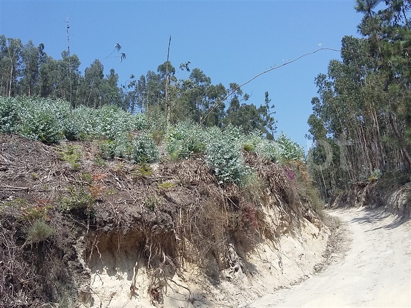 Terreno para Construção  Terras de Bouro, Valdosende - 962194 - 11
