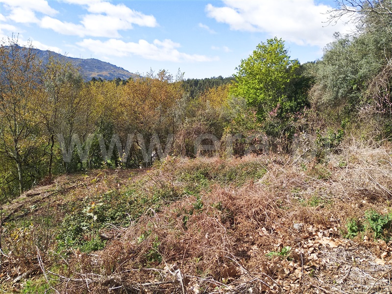 Terreno para Construção / Terras de Bouro, Valdosende