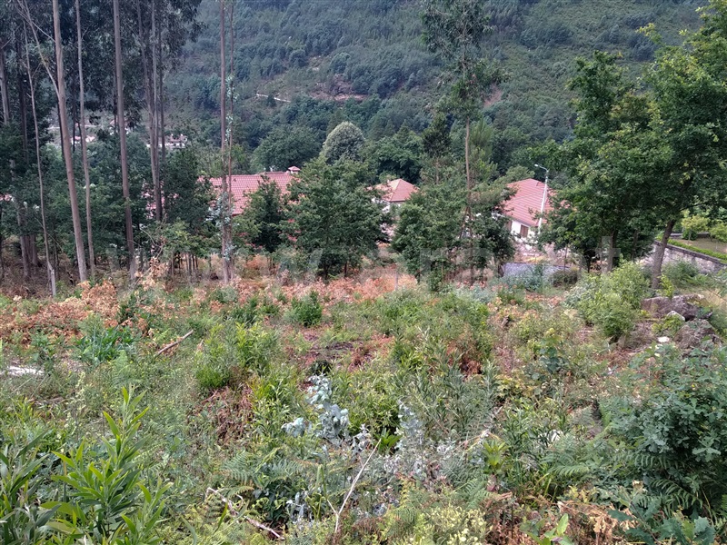 Terreno para Construção  Terras de Bouro, Vilar da Veiga - 1098869 - 2