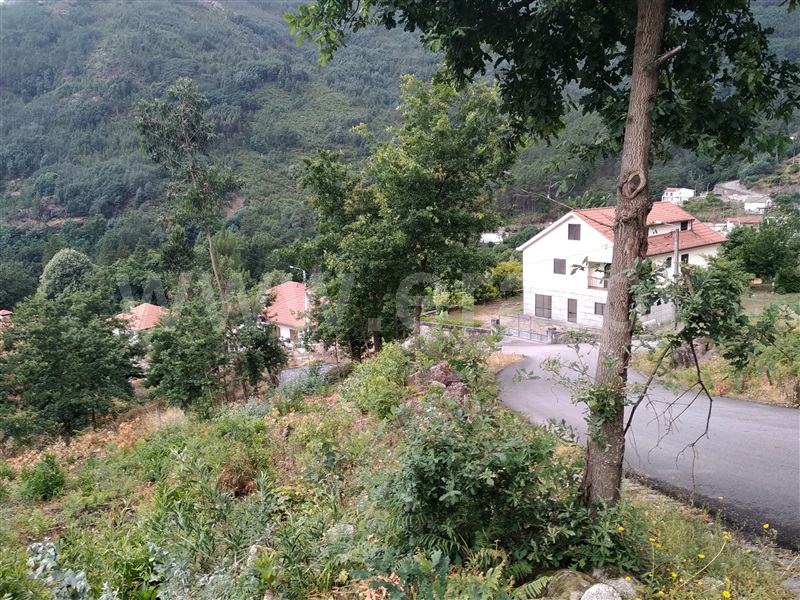 Terreno para Construção  Terras de Bouro, Vilar da Veiga - 1098869 - 5