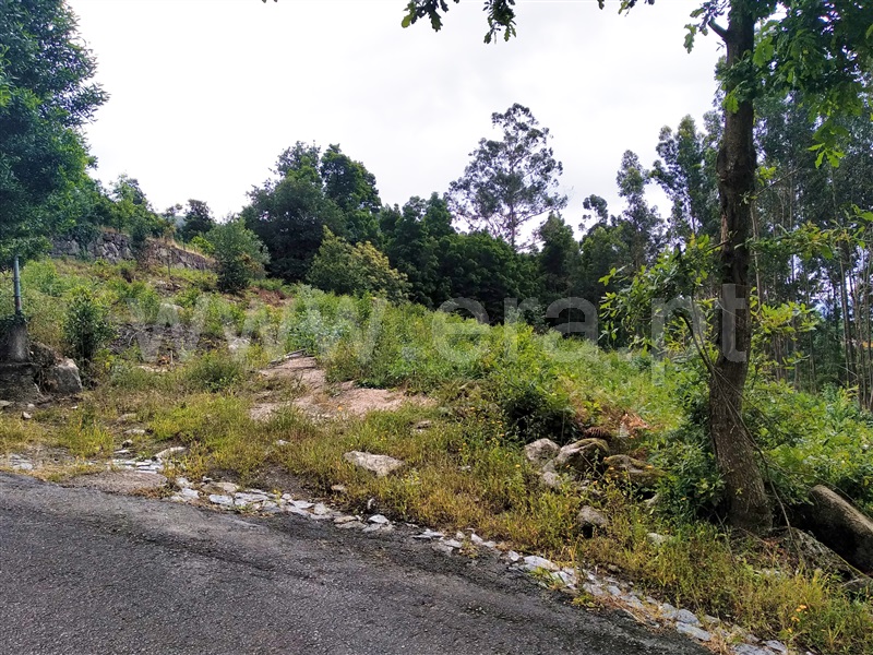 Terreno para Construção  Terras de Bouro, Vilar da Veiga - 1098869 - 6