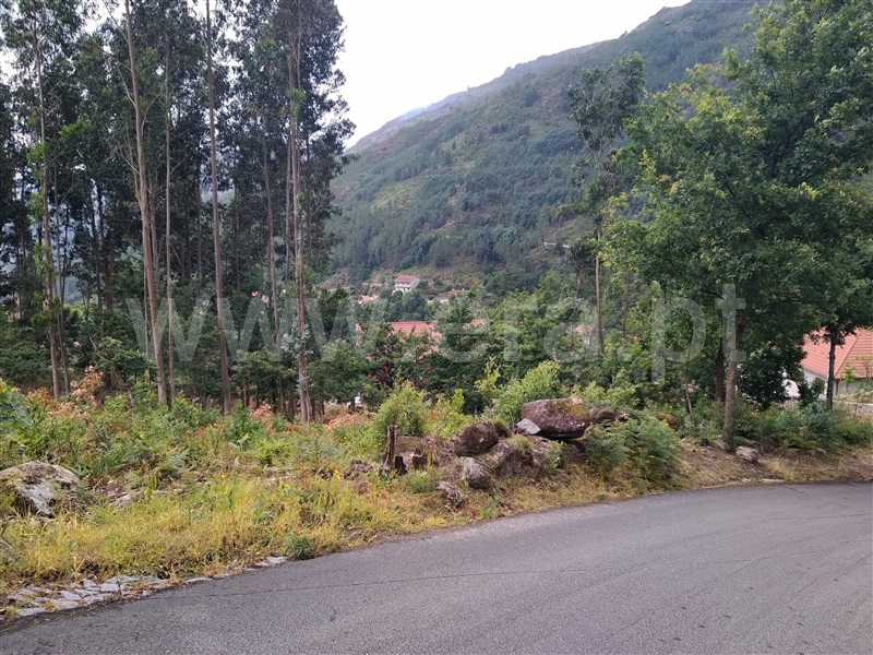 Terreno para Construção  Terras de Bouro, Vilar da Veiga - 1098869 - 7
