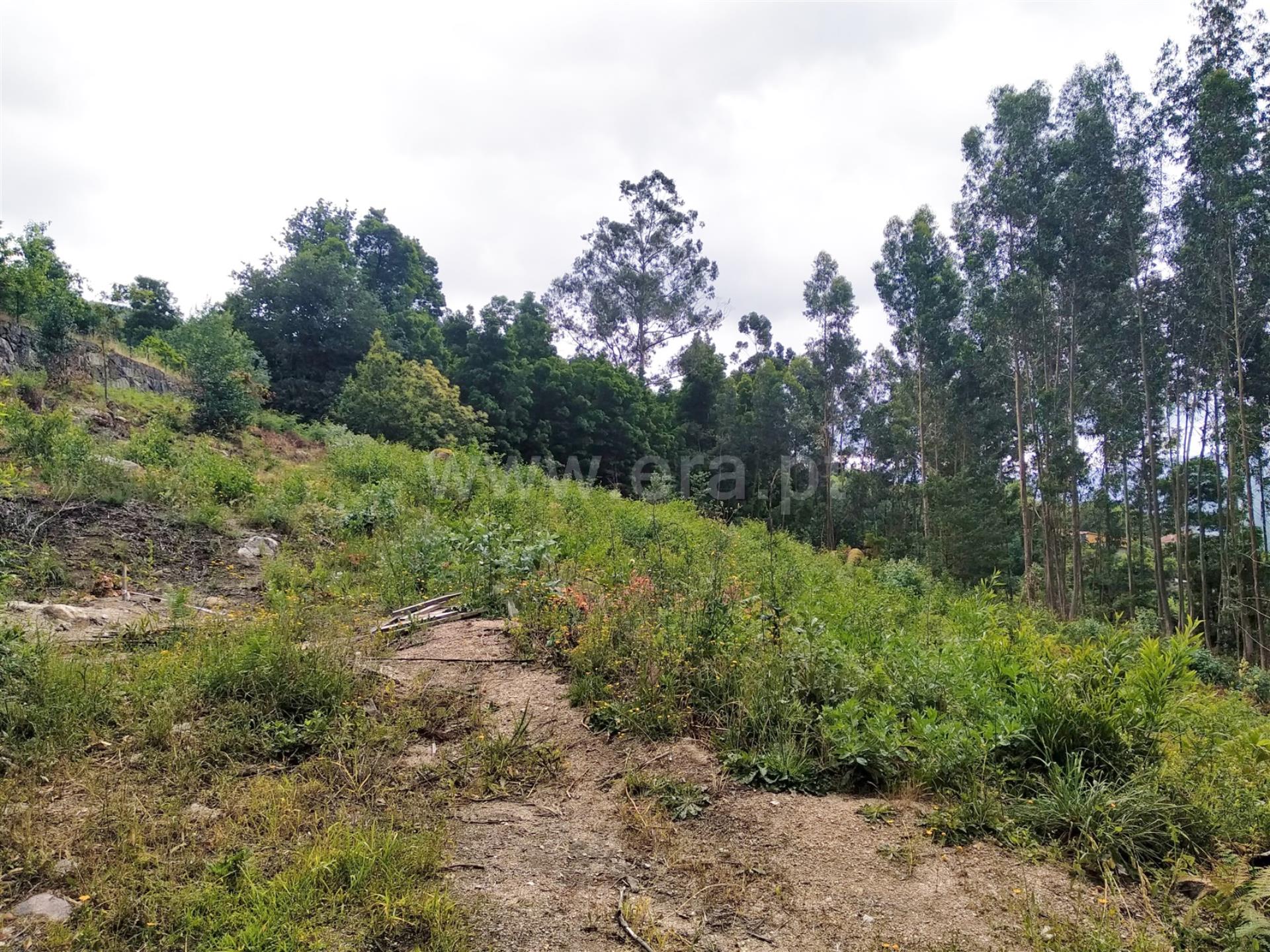 Land for sale in Terras de Bouro, Portugal — €99,000