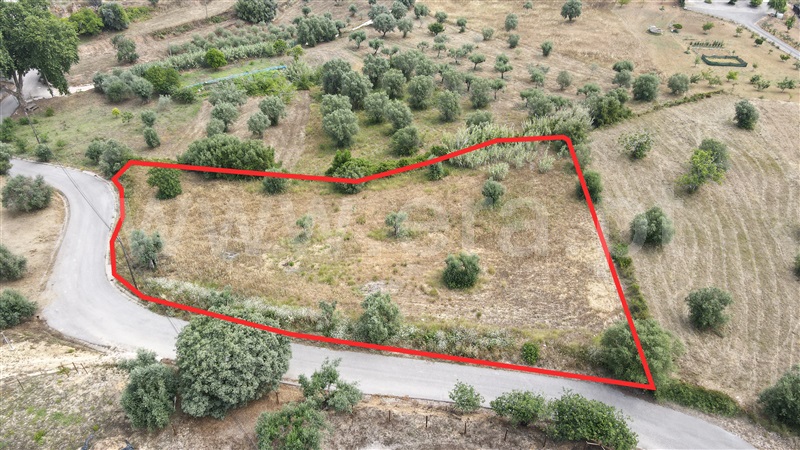Terreno para Construção  Tomar, Além da Ribeira e Pedreira - 1336378 - 1