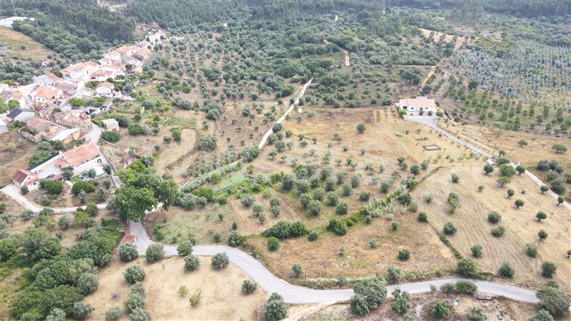Terreno para Construção  Tomar, Além da Ribeira e Pedreira - 1336378 - 2