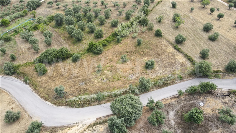 Terreno para Construção  Tomar, Além da Ribeira e Pedreira - 1336378 - 3