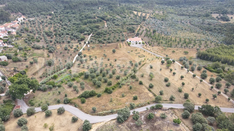 Terreno para Construção  Tomar, Além da Ribeira e Pedreira - 1336378 - 4