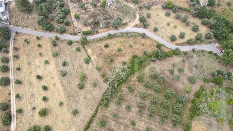 Terreno para Construção  Tomar, Além da Ribeira e Pedreira - 1336378 - 9