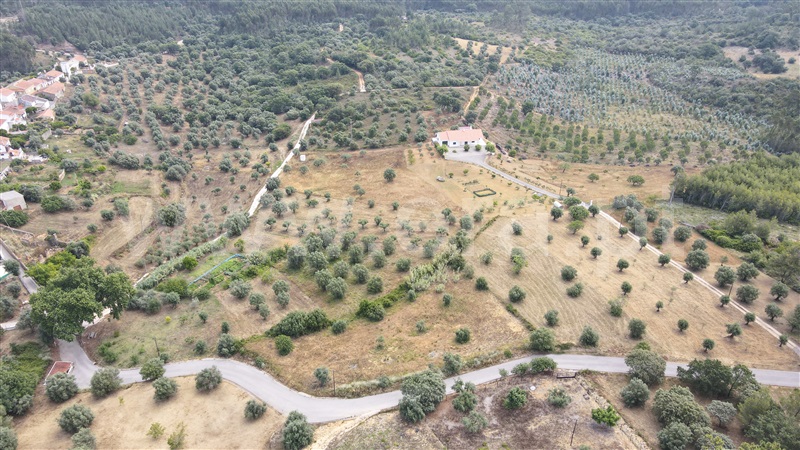 Terreno para Construção  Tomar, Além da Ribeira e Pedreira - 1336378 - 11