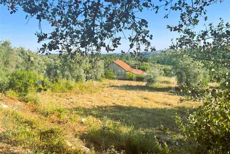 Terreno para Construção / Tomar, Casais e Alviobeira