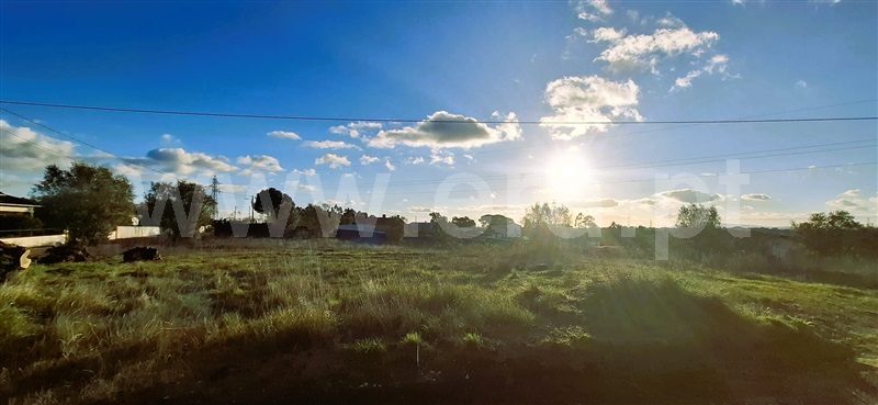 Terreno para Construção / Tomar, Casais e Alviobeira