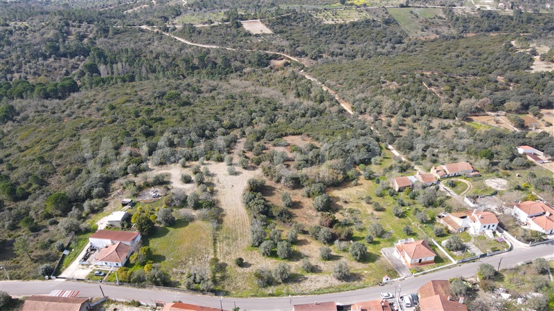 Terreno para Construção / Tomar, Madalena e Beselga