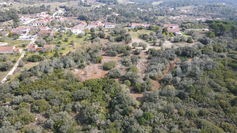 Terreno  Tomar, Madalena e Beselga - 1230150 - 3
